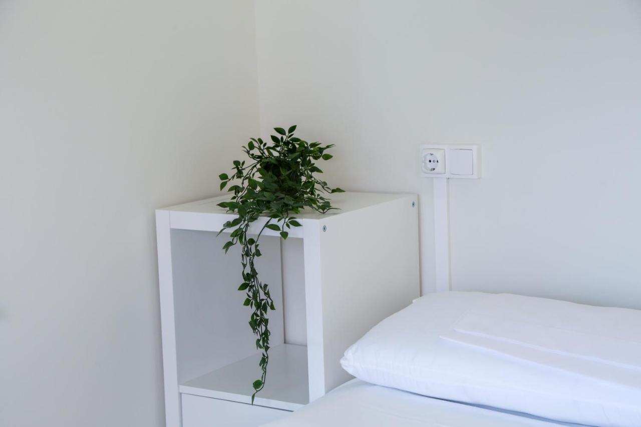 Santa Cruz de Campezo Aterpe Kanpezu Hostel מראה חיצוני תמונה